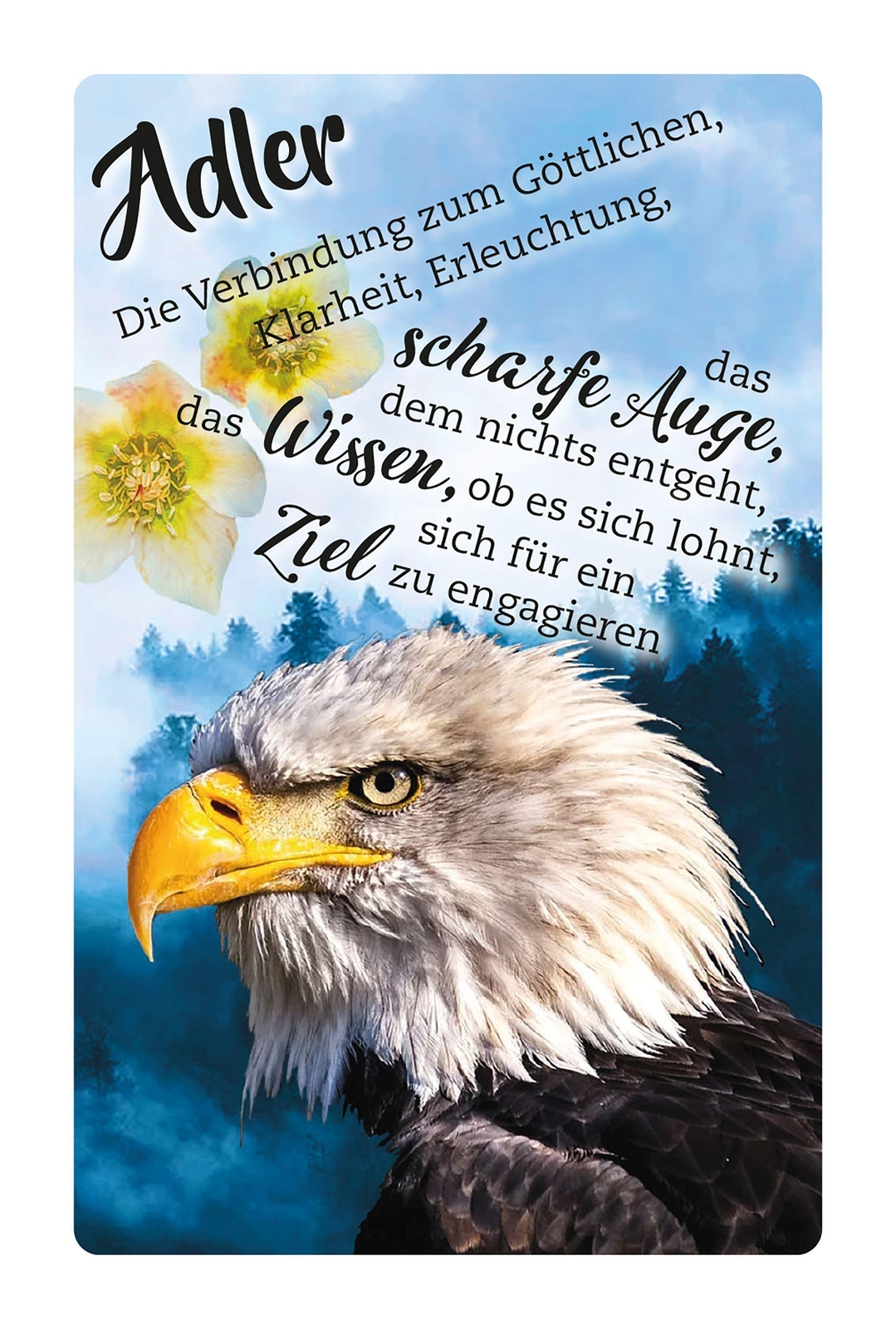 Thumbnail - Krafttier-orakelkarten | Eva Katharina Junge | Deutsch | Buch |