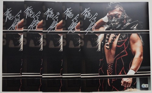 Shingo Takagi Signed 11x14 Photo BAS COA Dragon Gate New Japan Pro Wrestling ROH - Picture 2 of 24