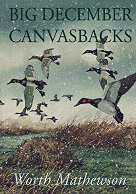 Big December Canvasbacks by Mathewson  New 9781568331539 Fast Free Shipping-,