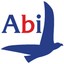 Abi Auto Glass Racks Tools Mirrors