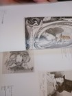 Bild 17 von 24