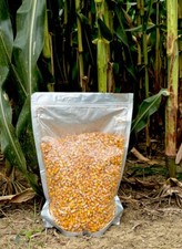 5 POUNDS Hand Shelled Corn Farm Animals, Wildlife, Arts  Crafts RESEALABLE Bag