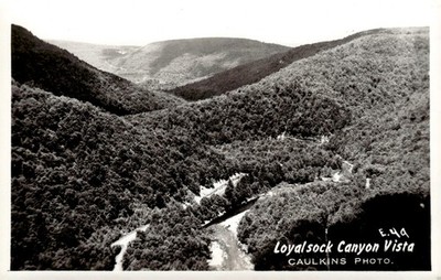 c1950 Loyalsock Canyon Vista Sullivan County PA Caulkins Real Photo Postcard RPP