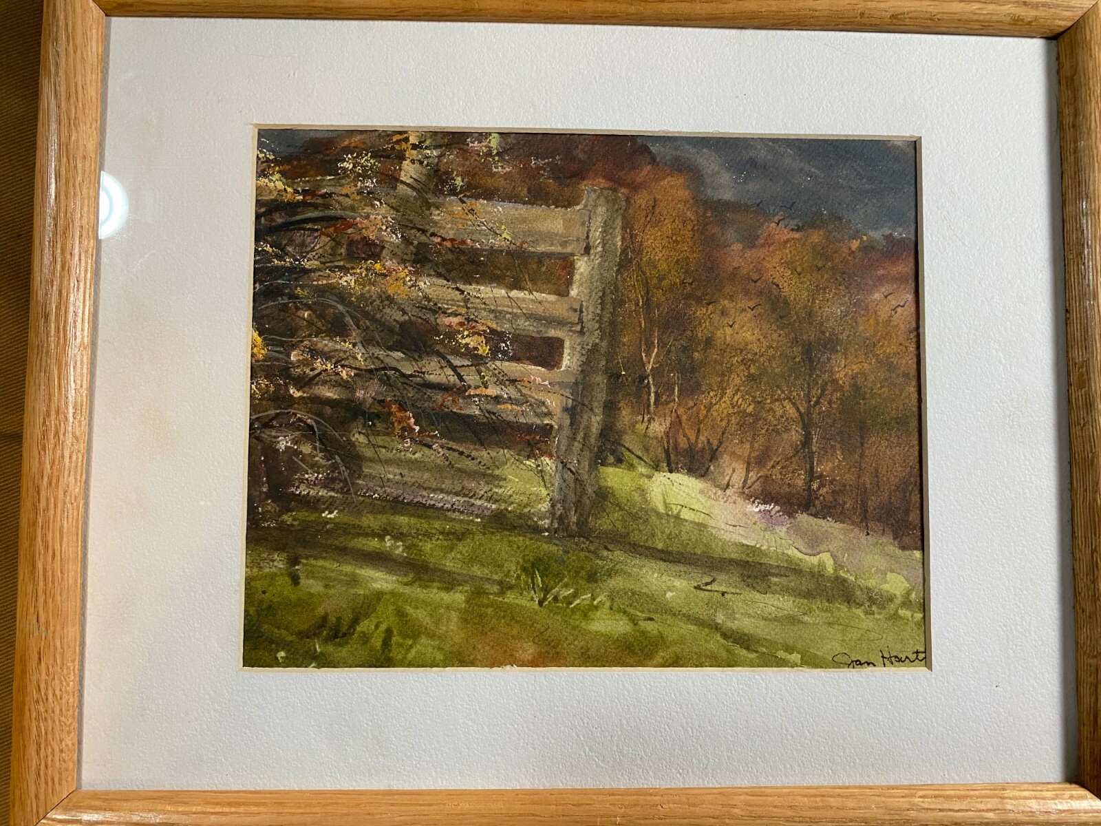 Picture 11 of 12
