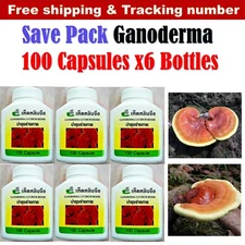 6 x Lingzhi Reishi Ganoderma Lucidum Super Food Body Healthy (600Cappsules)