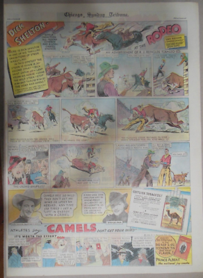 Camel Cigarette Ad: Cowboy Rodeo Star Dick Shelton ! 1936 Full Size 15 x 22  inch