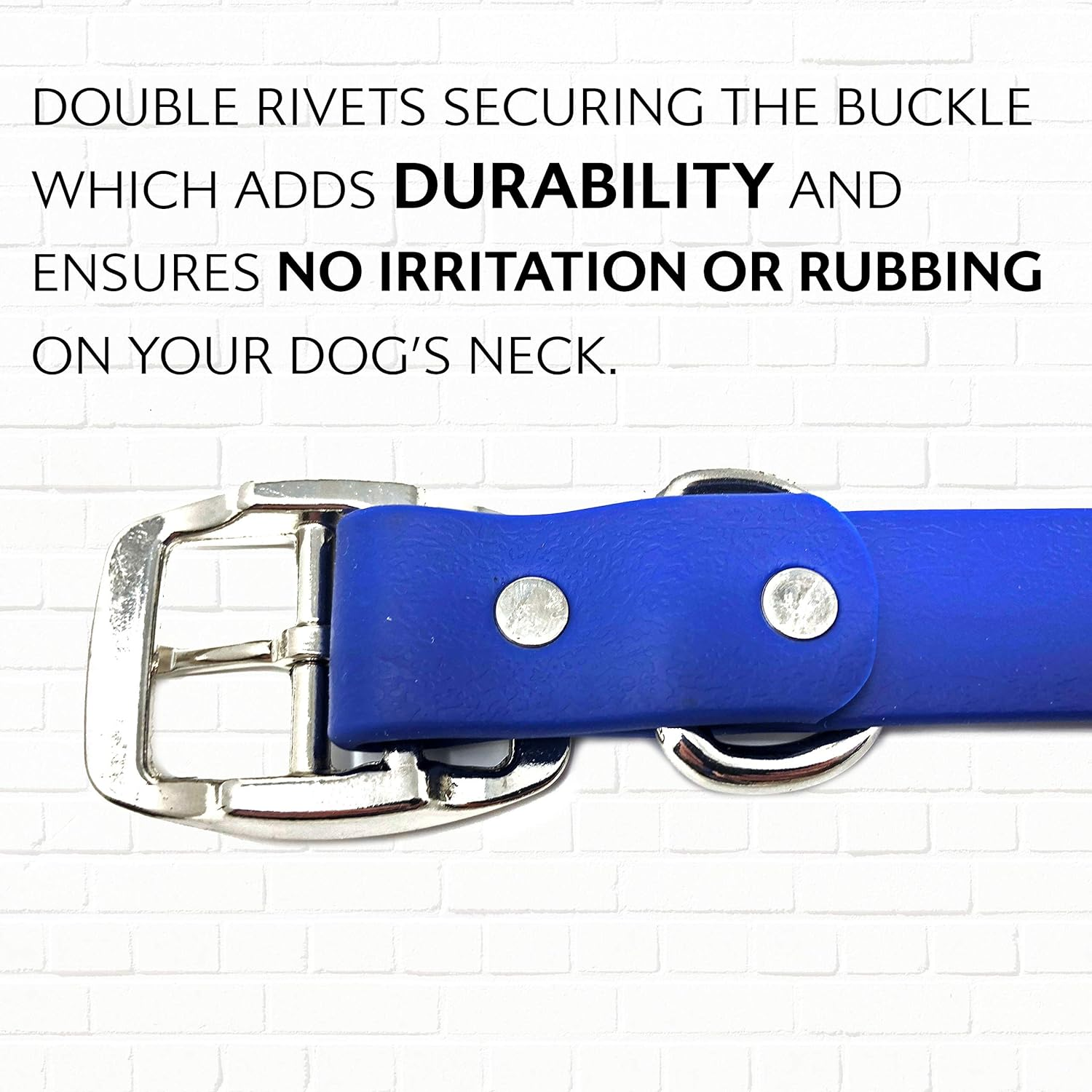 Regal Dog Products Medium Blue Waterproof Dog Collar with Heavy Duty