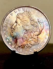 1884 0 Morgan  Dollar Monster Toning Overse And Reverse -55