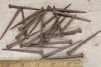 #ad 3” Old Button Rose Square 25 Nails Spikes Round Domed Head Rustic Vintage Rusty $18.95