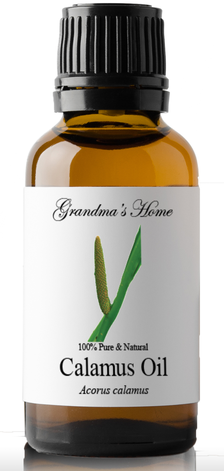30 Ml - 100% Pure - Therapeutic Grade - Grandma's Home