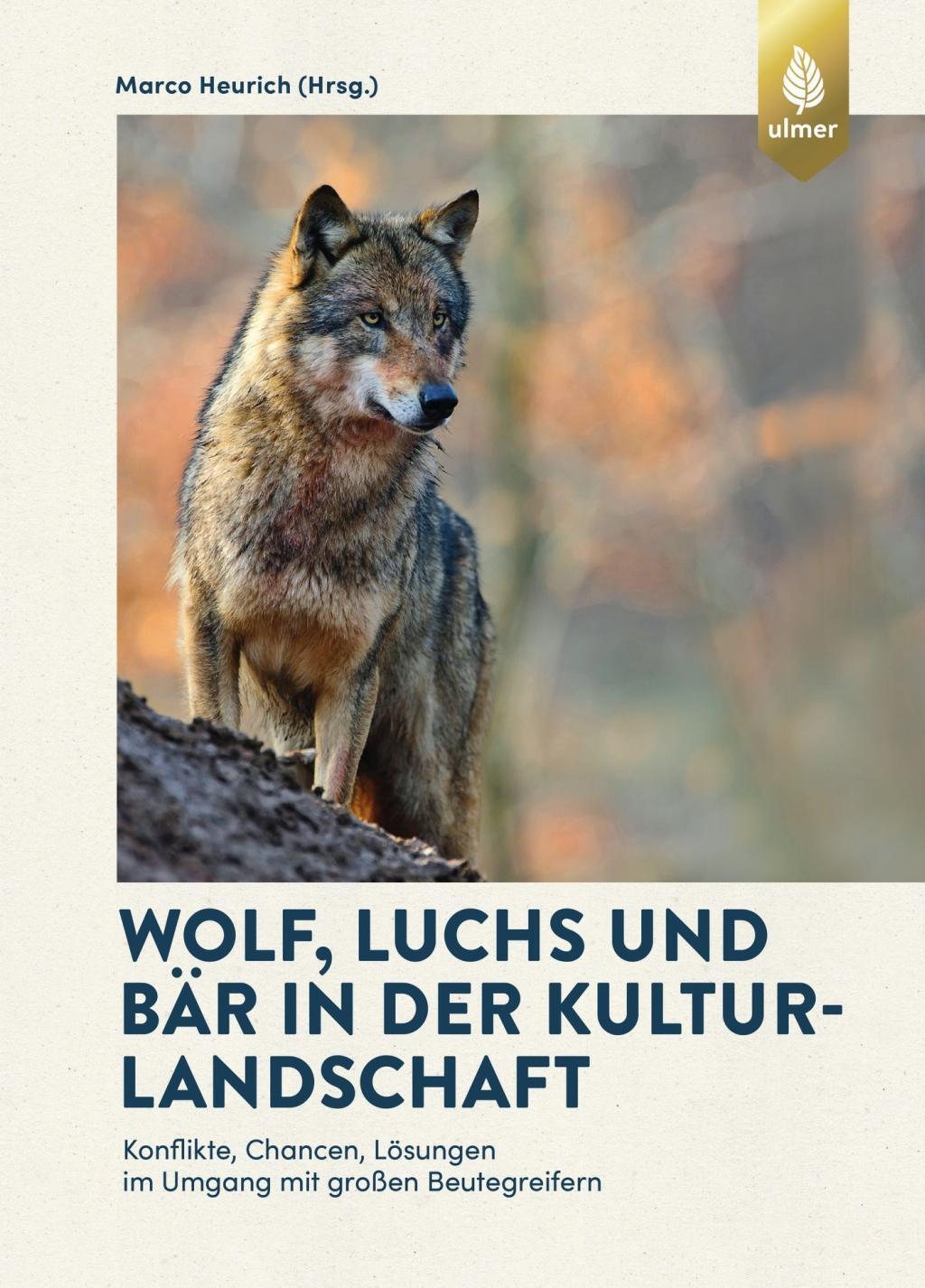 Thumbnail - Wolf, Luchs Und Bär In Der Kulturlandschaft | Buch | 9783818605056