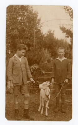 FOTO SNAPSHOT, 2 Jungen in kurzen Höschen mit einer Ziege Ziegen