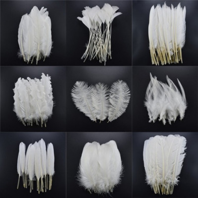 20pcs/Lot Rooster Goose Pheasant Feathers Crafts Chicken Duck Peacock Feather