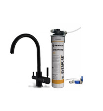 KIT DE FILTRATION EVERPURE 4C EV960112 FILTRE AVEC ROBINET 3 VOIES RACCORDS D...