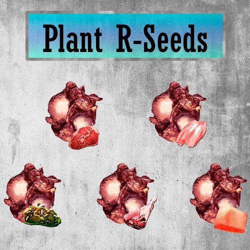 🔥ARK Survival Ascended PvE Plant Proto Species R - Seed (meat seed) | eBay