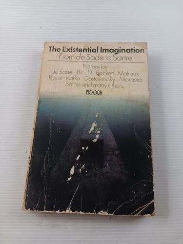 The Existential Imagination from De Sade to Sartre- 1978 3rd printing paperback - Picture 1 of 20