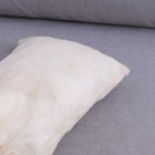 Bild 6 von 12
