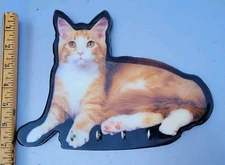 Photorealistic Cat-Ginger Kitty Tabby Gold-Key Holder Wood Wall Hanging: 4 Hooks