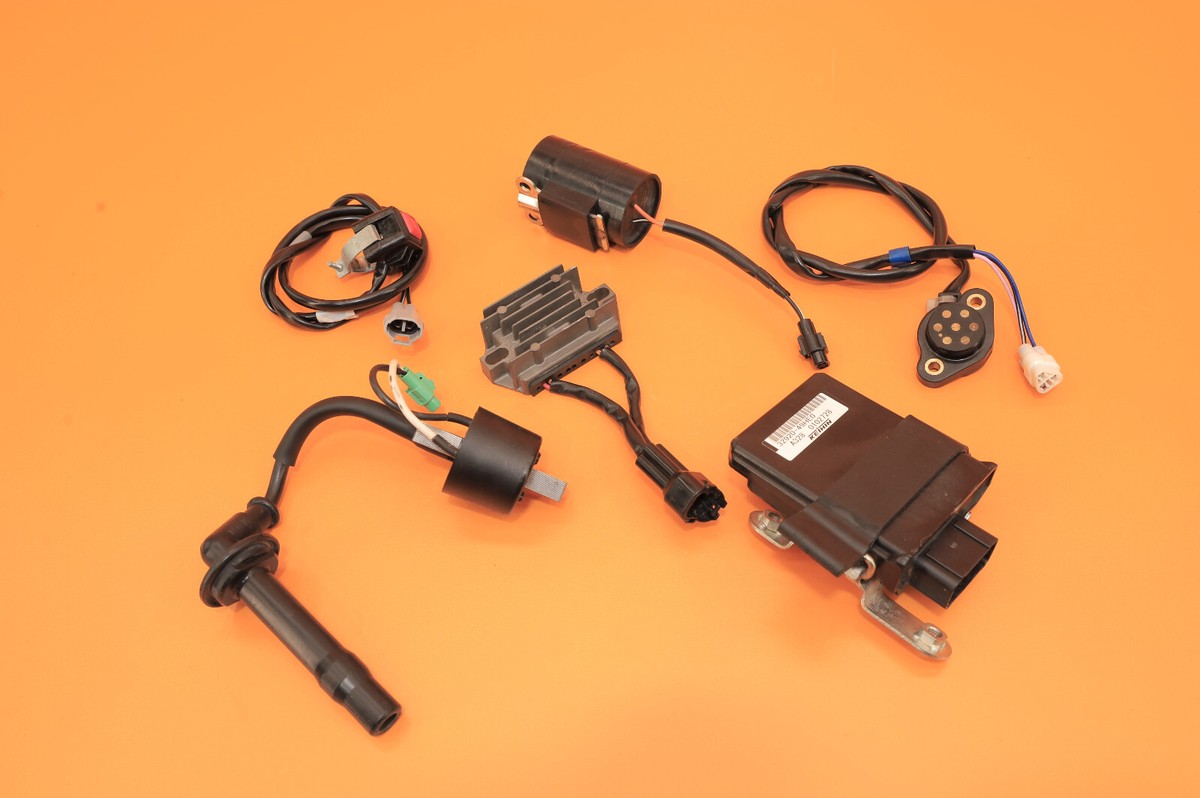 2017 16-18 RMZ250 RMZ 250 PGI Fuel Injection Controller Wire