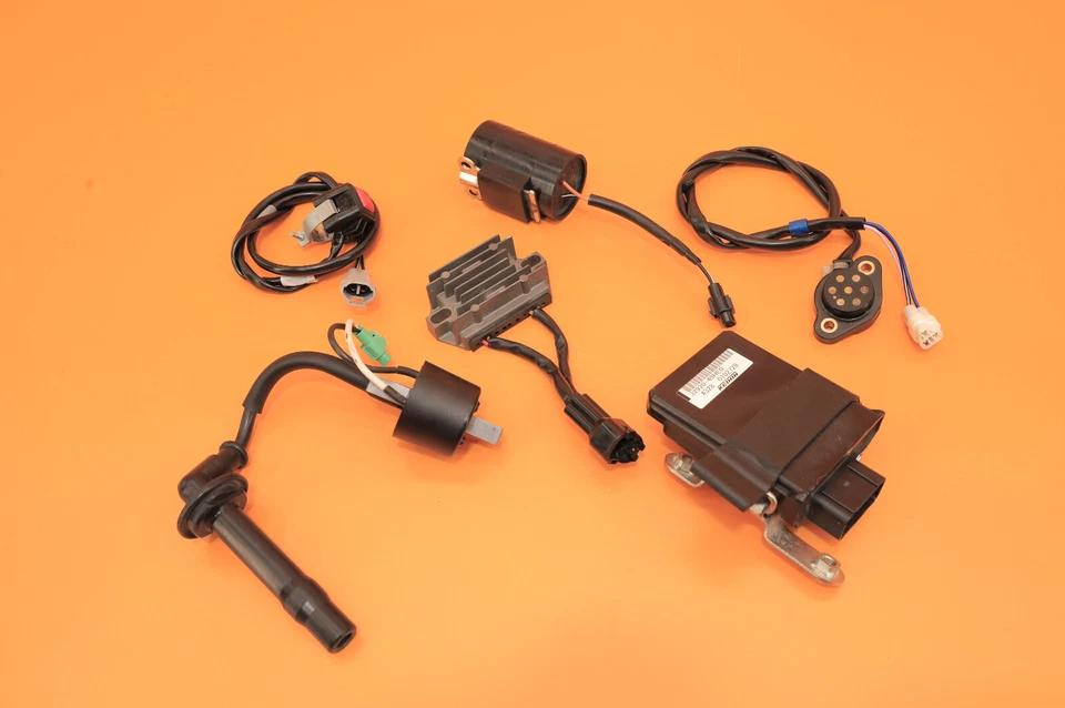 Controlador de inyección de combustible PGI 2017 16-18 RMZ250 RMZ 250 arnés de cables encendido Foto 2 de 4