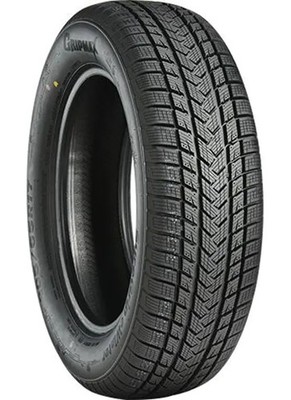 Winterreifen Gripmax 175/60 R16 82H SureGrip Pro Winter M+S BSW