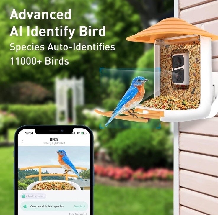 With Wireless Outdoor Camera, Amazing Pictures On Phone