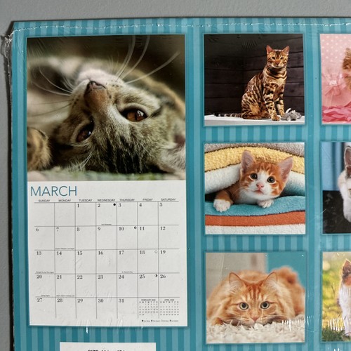 Calendario de Pared Gatos 16 Meses 10" X 11" Coleccionable Artesanía Mordaza Regalo Elefante Blanco - Imagen 2 de 7