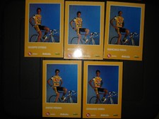 cyclisme carte  ZG MOBILI  BOTTECHIA 1993 CITTERIO MORO PERINI PERONA SIERRA