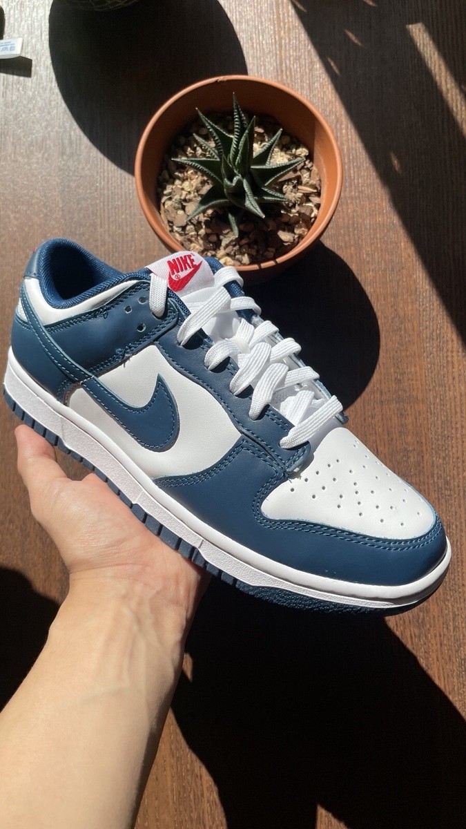 Size 7.5 - Nike Dunk Low Retro Valerian Blue/White 195869949260| eBay