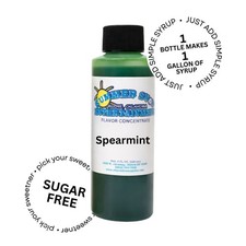 SPEARMINT SYRUP MIX Snow CONE/SHAVED ICE Flavor GALLON CONCENTRATE 1 FLAVOR