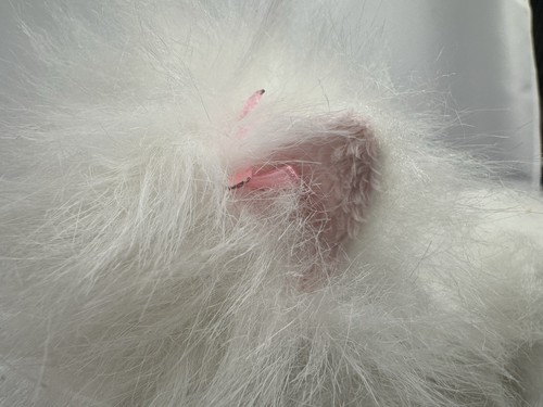Ganz Webkinz  Persian Cat Stuffed Animal Fluffy White HM110 No Code - Picture 7 of 14
