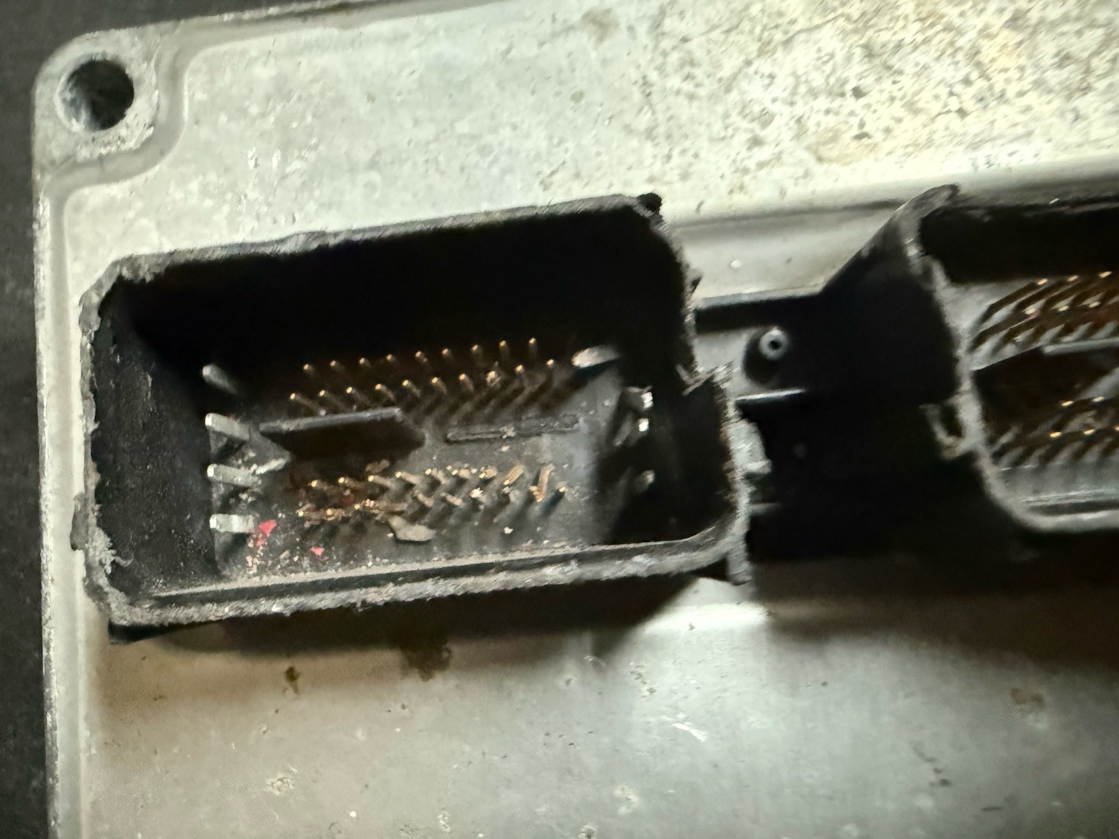 Picture 4 of 5