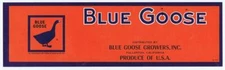 Blue Goose Fullerton California Fruit Crate Label sm WHOLESALE LOT OF 25 LABELS