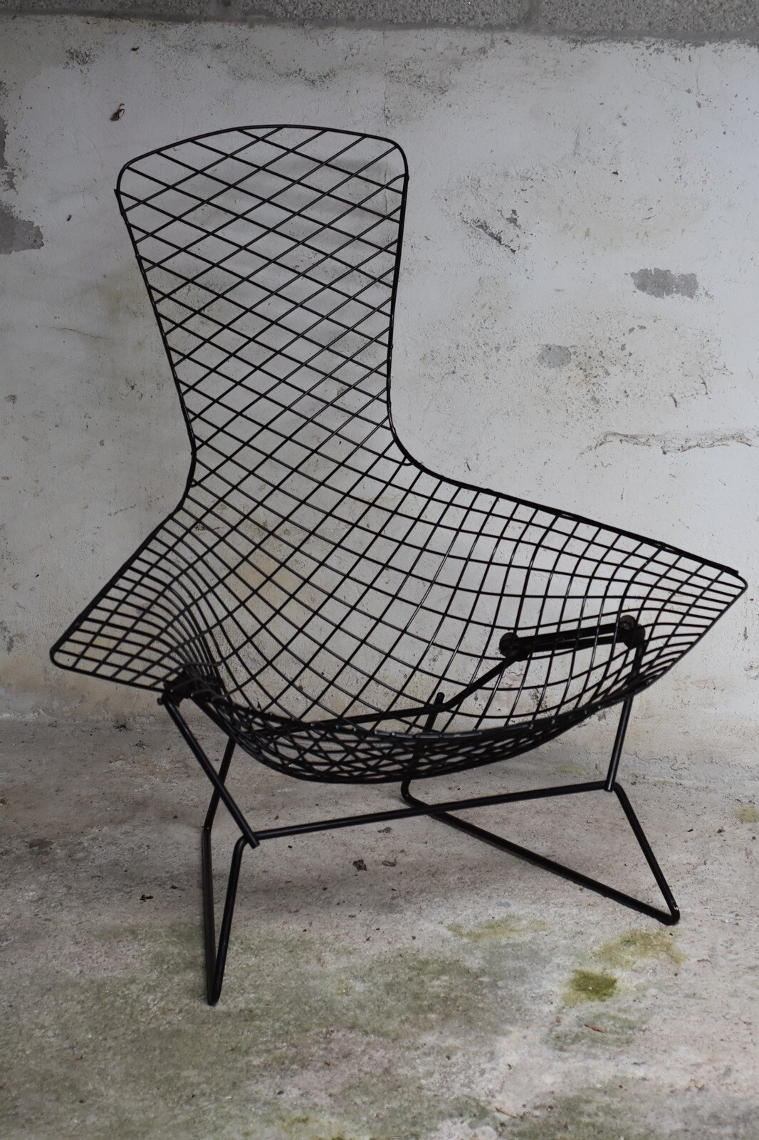 Harry Bertoia Birdcage Chair for Knoll Chairs eBay