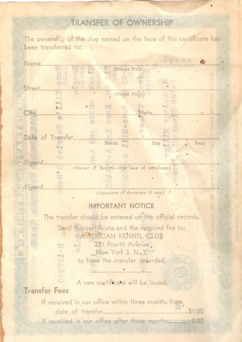 Kennel club top transfer of ownership