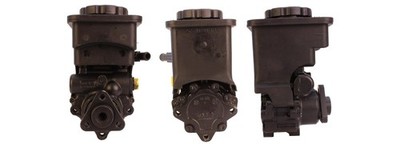 Hydraulikpumpe Lenkung ELSTOCK 15-0778 +71.66  Pfand für E61 BMW E60 5er Touring