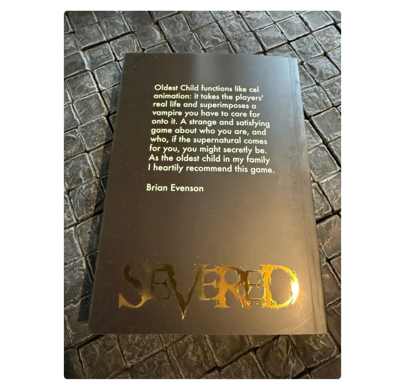 Oldest Child RPG Book with Custom Coin and Die - Brian Evenson blurb