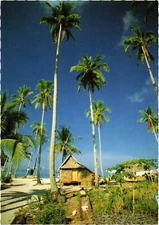 PC PHILIPPINES, BORACAY BEACH, NIPA HUT, Modern Postcard (b60418)