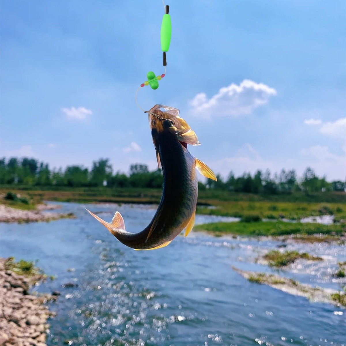 Catfish Best Rig For River Fishing Catfish Rigs Best Setup For