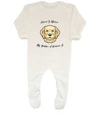 Dog Pet Lover Baby Grow Sleepsuit Home is where my Golden Retriever is Boys Girl