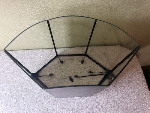 Terrarium Spiegelglas länglich Sechseck Pflanzgefäß - Bild 7 von 8