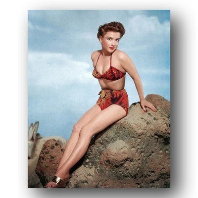 Anne Baxter Photo 8x10 Portrait Classic Hollywood Actress-15