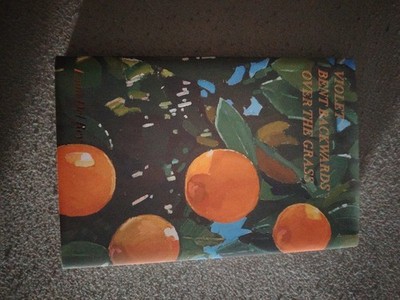 Violet Bent Backwards Over the Grass von Lana Del Rey (2020, Gebundene Ausgabe)