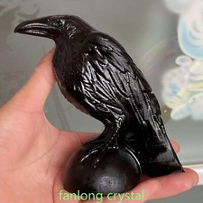 6" Natural Obsidian Bird Skull Carved Quartz Crow Crystal Skull Reiki Healing
