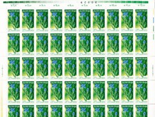 DDR 1365 Bogen postfrisch und ungefaltet  (B508R)