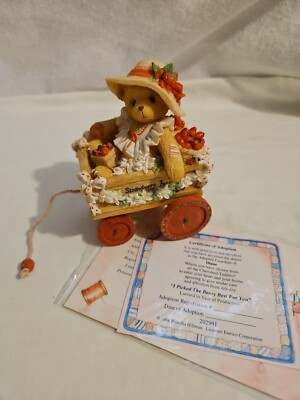 Diane ''I Picked The Berry Best For You'' Cherished Teddies.  NIB 2007