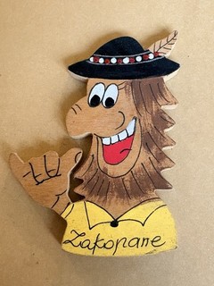 Souvenir Kühlschrankmagnet Polen 🇵🇱