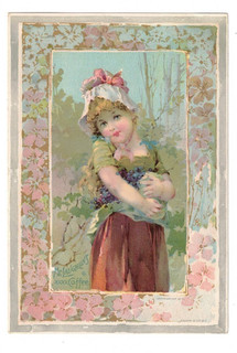 Pubblicità Trade Card Vittoriana XXXX McLaughlin's Coffee Ragazza Picks Berries