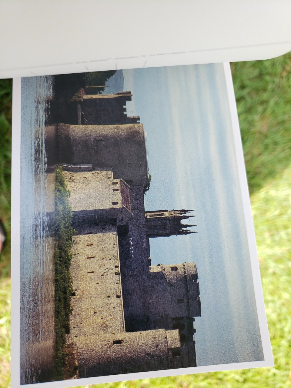 Picture 6 of 7