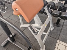 Panca Scott Professionale 